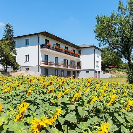 Gasthof-Pension Wein Breitenbrunn am Neusiedler See Exterior foto